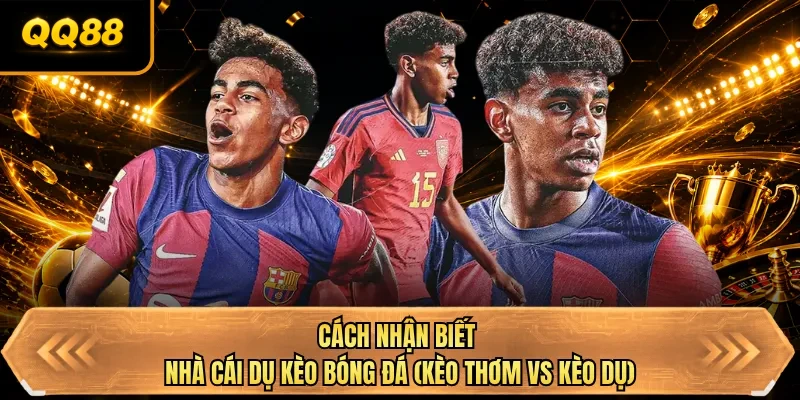 cach nhan biet nha cai du keo bong da keo thom vs keo du