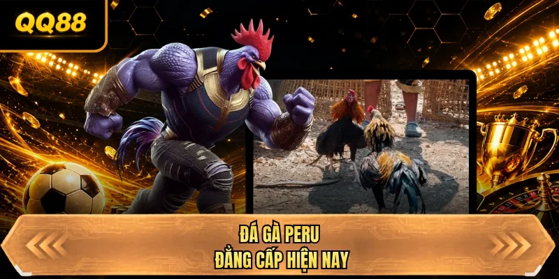 da ga peru dang cap hien nay