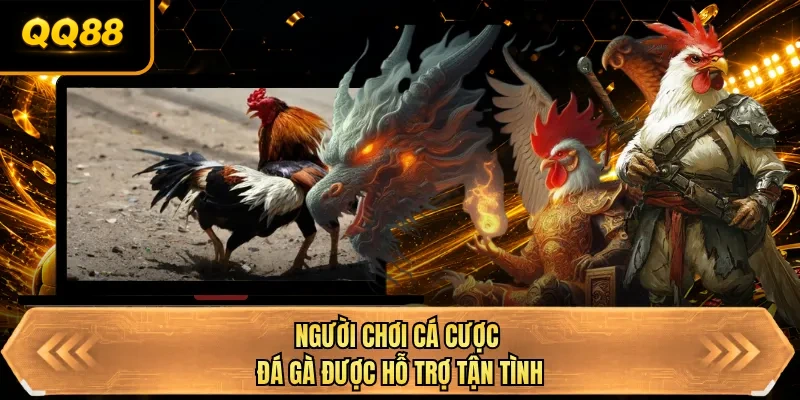 nguoi choi ca cuoc da ga duoc ho tro tan tinh nguoi choi ca cuoc da ga duoc ho tro tan tinh