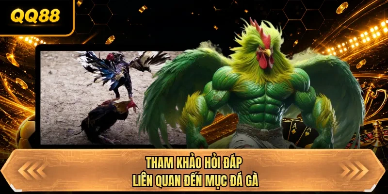 tham khao hoi dap lien quan den muc da ga tham khao hoi dap lien quan den muc da ga